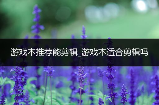 游戏本推荐能剪辑_游戏本适合剪辑吗