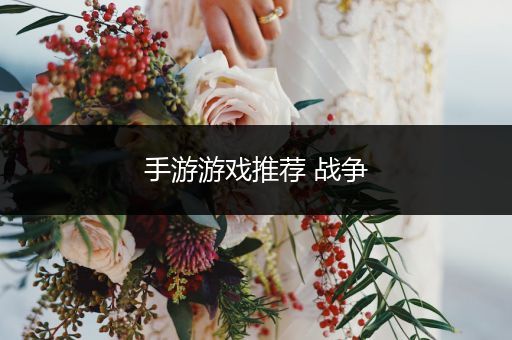 手游游戏推荐 战争