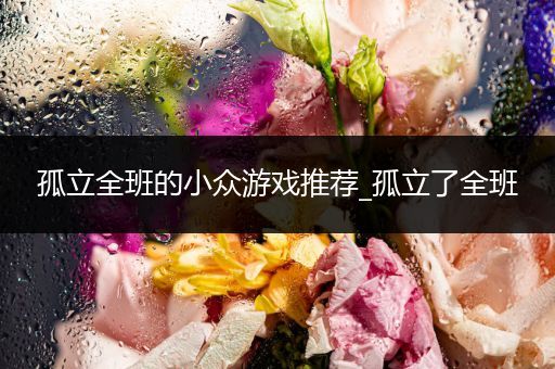 孤立全班的小众游戏推荐_孤立了全班