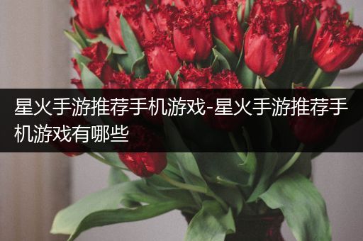 星火手游推荐手机游戏-星火手游推荐手机游戏有哪些