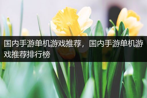 国内手游单机游戏推荐，国内手游单机游戏推荐排行榜