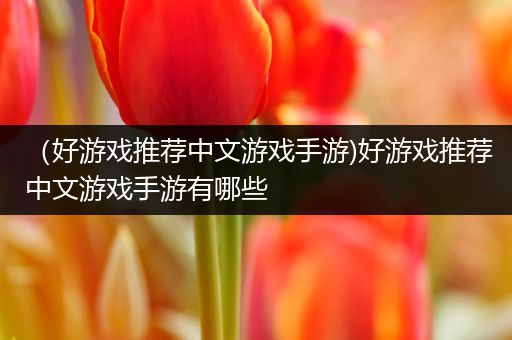 （好游戏推荐中文游戏手游)好游戏推荐中文游戏手游有哪些