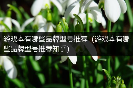 游戏本有哪些品牌型号推荐（游戏本有哪些品牌型号推荐知乎）