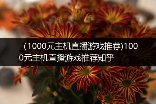 （1000元主机直播游戏推荐)1000元主机直播游戏推荐知乎