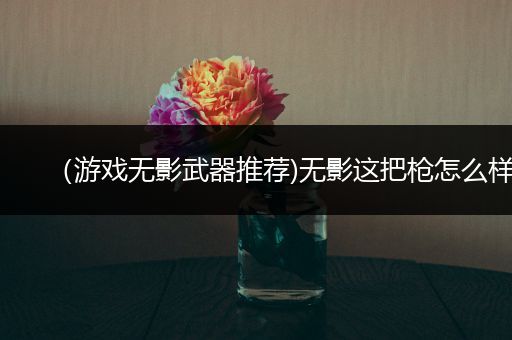 （游戏无影武器推荐)无影这把枪怎么样