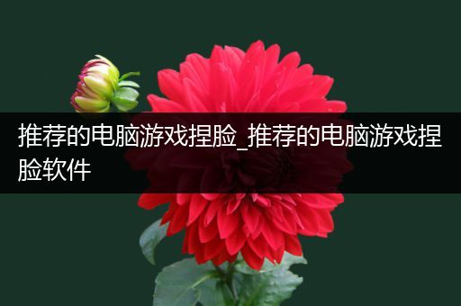 推荐的电脑游戏捏脸_推荐的电脑游戏捏脸软件