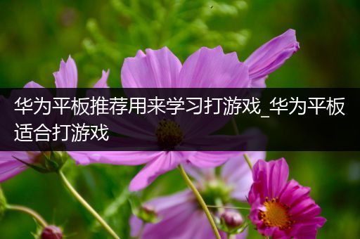 华为平板推荐用来学习打游戏_华为平板适合打游戏
