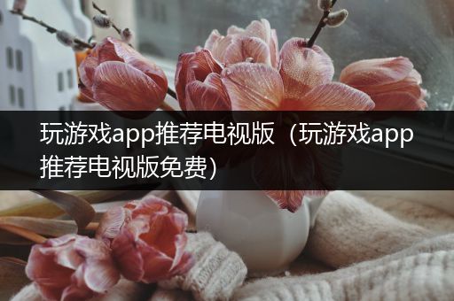 玩游戏app推荐电视版（玩游戏app推荐电视版免费）