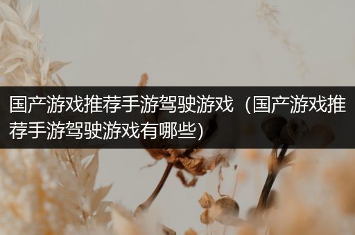 国产游戏推荐手游驾驶游戏（国产游戏推荐手游驾驶游戏有哪些）