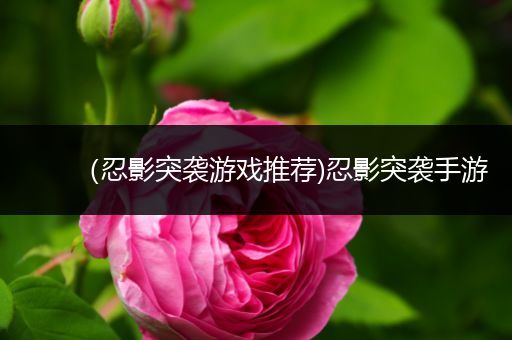 （忍影突袭游戏推荐)忍影突袭手游