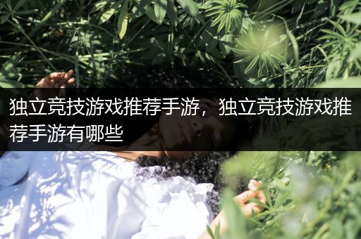 独立竞技游戏推荐手游，独立竞技游戏推荐手游有哪些