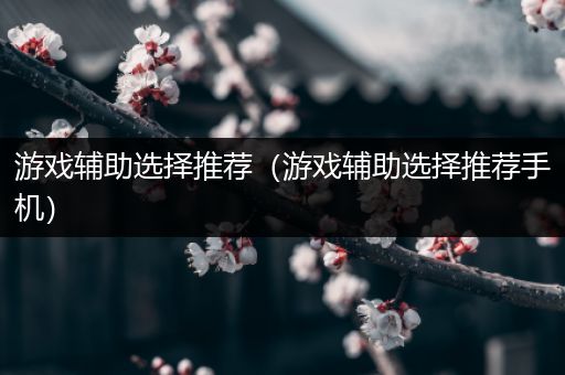 游戏辅助选择推荐（游戏辅助选择推荐手机）