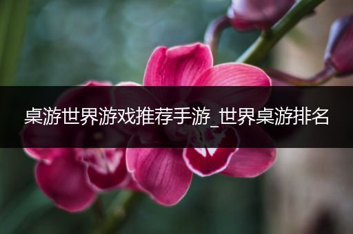桌游世界游戏推荐手游_世界桌游排名