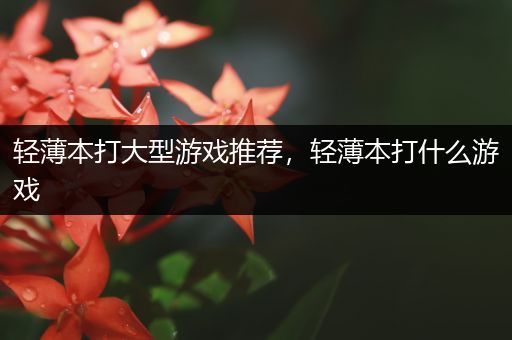 轻薄本打大型游戏推荐，轻薄本打什么游戏