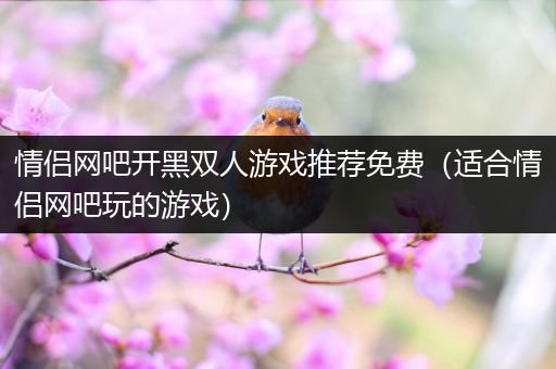 情侣网吧开黑双人游戏推荐免费（适合情侣网吧玩的游戏）