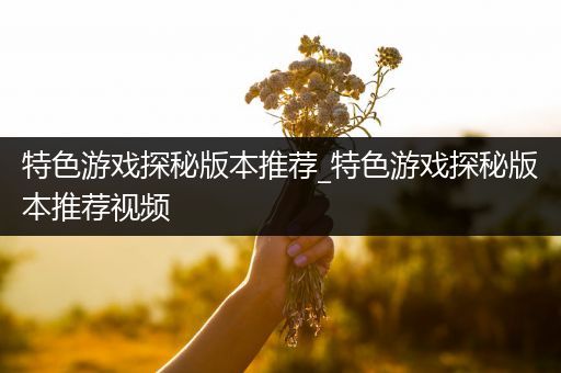 特色游戏探秘版本推荐_特色游戏探秘版本推荐视频
