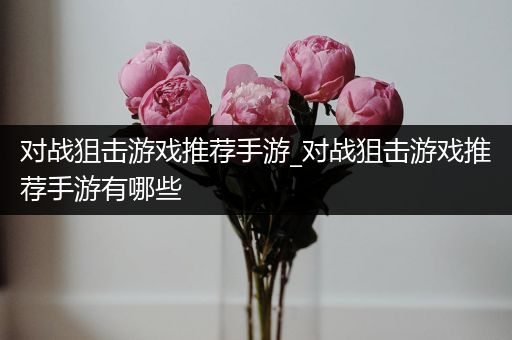 对战狙击游戏推荐手游_对战狙击游戏推荐手游有哪些