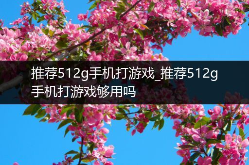 推荐512g手机打游戏_推荐512g手机打游戏够用吗