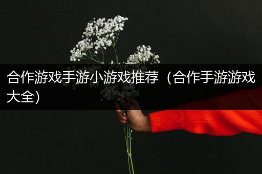 合作游戏手游小游戏推荐（合作手游游戏大全）