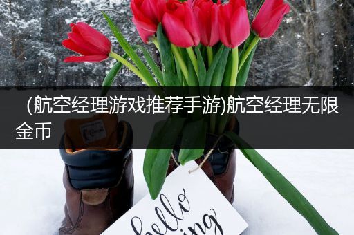 （航空经理游戏推荐手游)航空经理无限金币