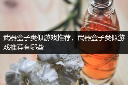武器盒子类似游戏推荐，武器盒子类似游戏推荐有哪些