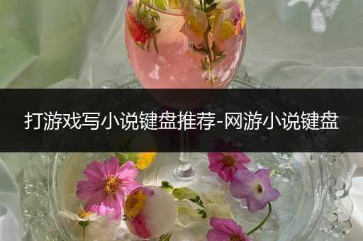 打游戏写小说键盘推荐-网游小说键盘