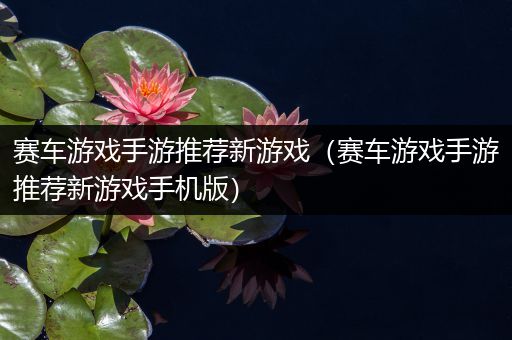 赛车游戏手游推荐新游戏（赛车游戏手游推荐新游戏手机版）