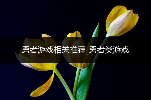 勇者游戏相关推荐_勇者类游戏
