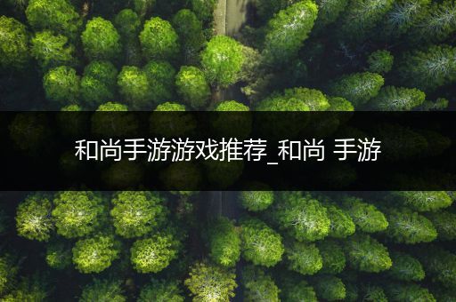 和尚手游游戏推荐_和尚 手游