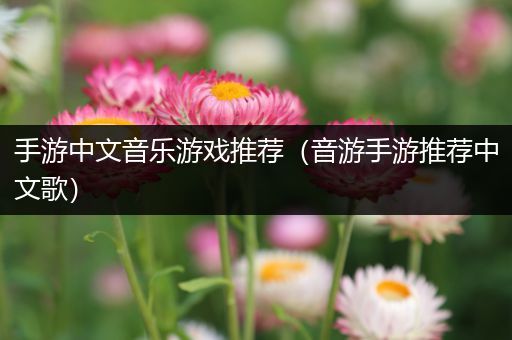 手游中文音乐游戏推荐（音游手游推荐中文歌）