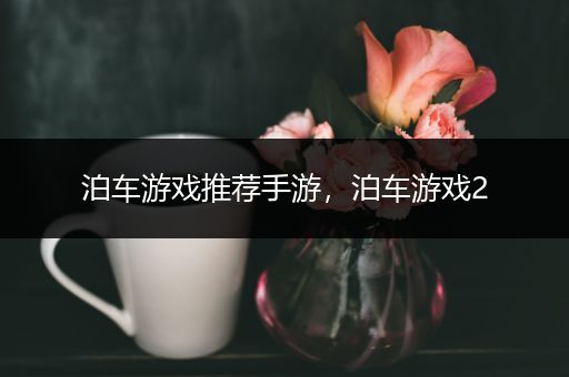 泊车游戏推荐手游，泊车游戏2