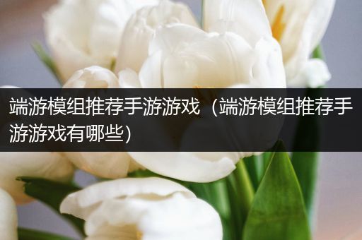 端游模组推荐手游游戏（端游模组推荐手游游戏有哪些）