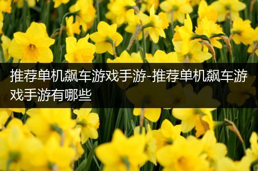 推荐单机飙车游戏手游-推荐单机飙车游戏手游有哪些