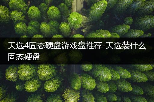 天选4固态硬盘游戏盘推荐-天选装什么固态硬盘