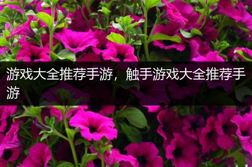 游戏大全推荐手游，触手游戏大全推荐手游