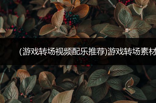 （游戏转场视频配乐推荐)游戏转场素材