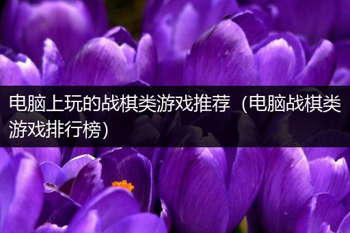 电脑上玩的战棋类游戏推荐（电脑战棋类游戏排行榜）