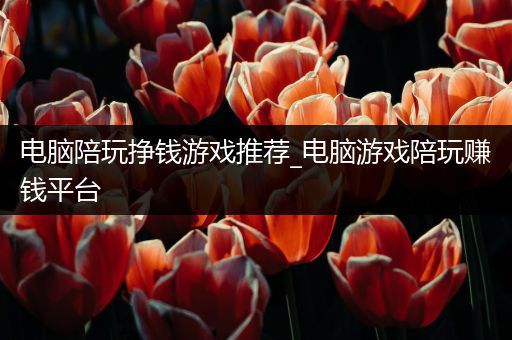 电脑陪玩挣钱游戏推荐_电脑游戏陪玩赚钱平台
