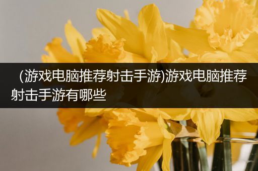 （游戏电脑推荐射击手游)游戏电脑推荐射击手游有哪些