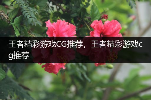 王者精彩游戏CG推荐，王者精彩游戏cg推荐