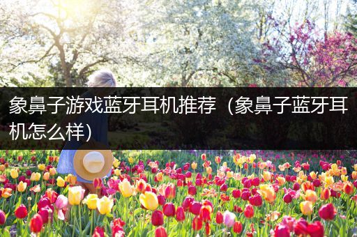 象鼻子游戏蓝牙耳机推荐（象鼻子蓝牙耳机怎么样）