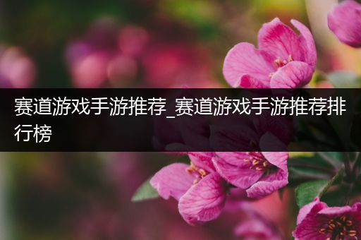 赛道游戏手游推荐_赛道游戏手游推荐排行榜