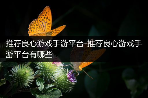 推荐良心游戏手游平台-推荐良心游戏手游平台有哪些