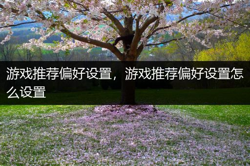 游戏推荐偏好设置，游戏推荐偏好设置怎么设置