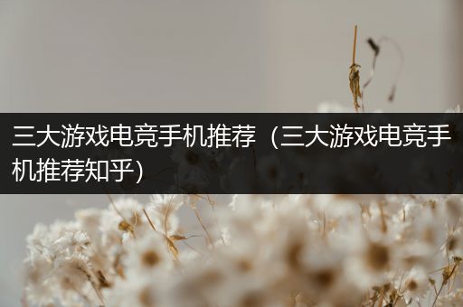 三大游戏电竞手机推荐（三大游戏电竞手机推荐知乎）