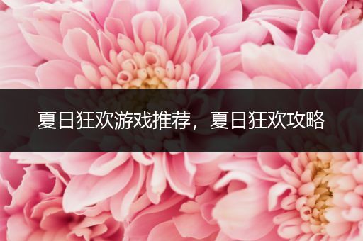 夏日狂欢游戏推荐，夏日狂欢攻略