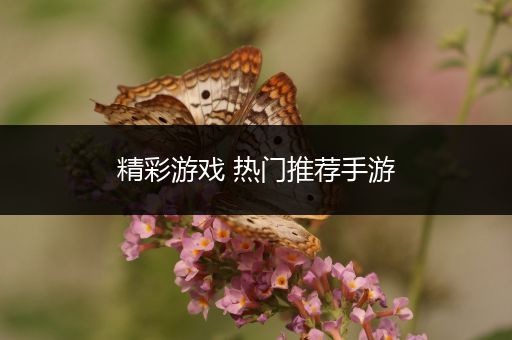 精彩游戏 热门推荐手游