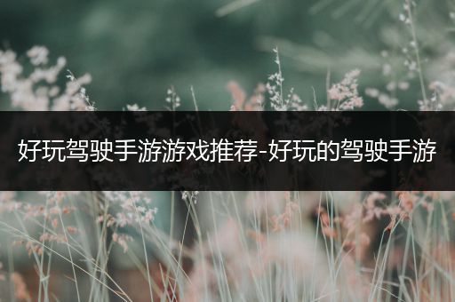 好玩驾驶手游游戏推荐-好玩的驾驶手游