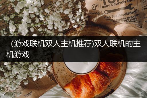 （游戏联机双人主机推荐)双人联机的主机游戏