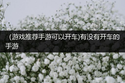 （游戏推荐手游可以开车)有没有开车的手游